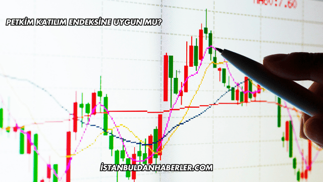 Petkim Katılım Endeksine Uygun mu?