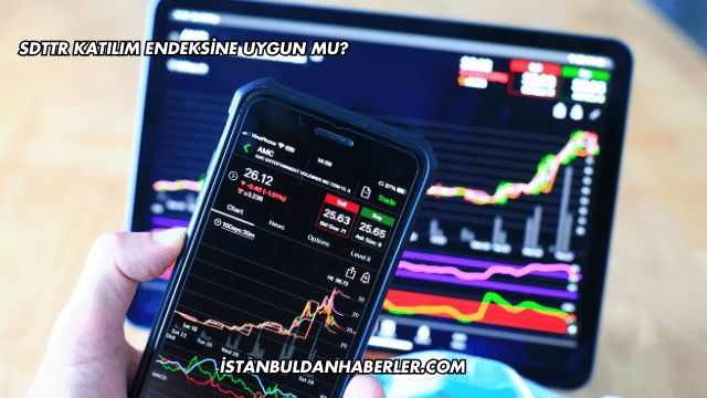 SDTTR Katılım Endeksine Uygun mu?
