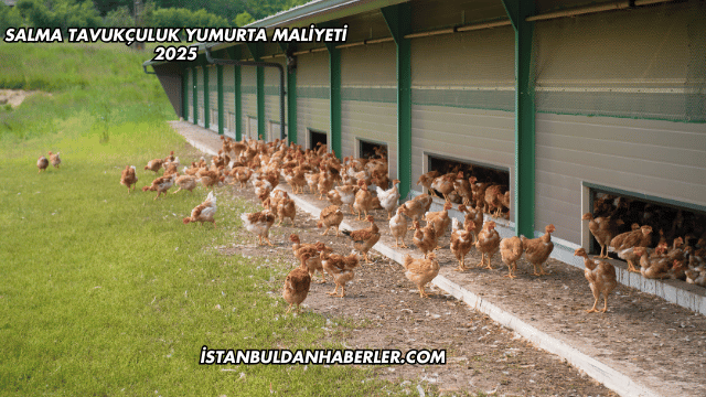 Salma Tavukçuluk Yumurta Maliyeti 2025