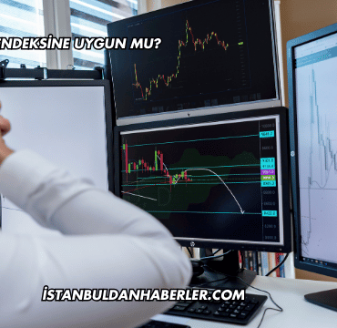 TTRAK Katılım Endeksine Uygun mu?