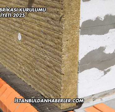 Taşyünü Fabrikası Kurulumu Maliyeti 2025