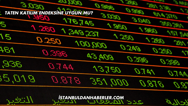 Taten Katılım Endeksine Uygun mu?