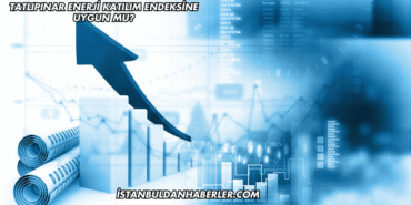 Tatlıpınar Enerji Katılım Endeksine Uygun mu?