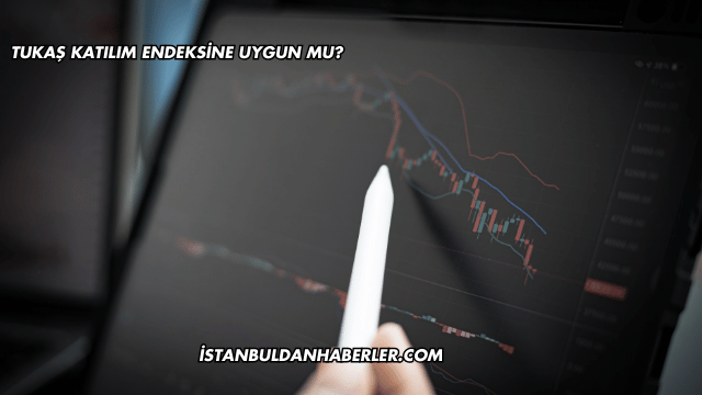 Tukaş Katılım Endeksine Uygun mu?