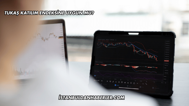 Tukaş Katılım Endeksine Uygun mu?