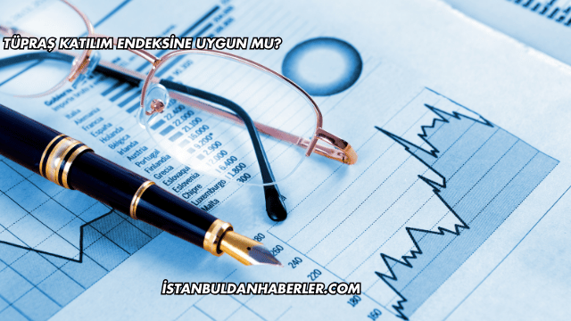 Tüpraş Katılım Endeksine Uygun mu?