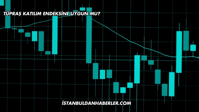 Tüpraş Katılım Endeksine Uygun mu?