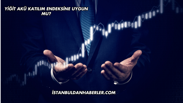 Yiğit Akü Katılım Endeksine Uygun mu?