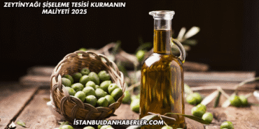 Zeytinyağı Şişeleme Tesisi Kurmanın Maliyeti 2025