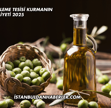 Zeytinyağı Şişeleme Tesisi Kurmanın Maliyeti 2025