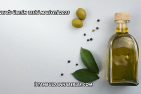 Zeytinyağı Üretim Tesisi Maliyeti 2025