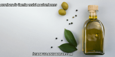 Zeytinyağı Üretim Tesisi Maliyeti 2025
