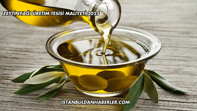 Zeytinyağı Üretim Tesisi Maliyeti 2025