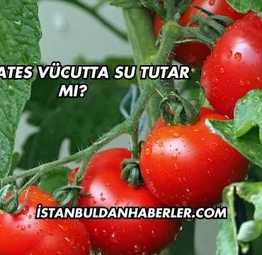 Domates Vücutta Su Tutar mı?