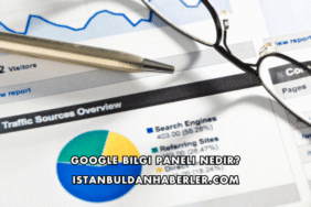 Google Bilgi Paneli Nedir?