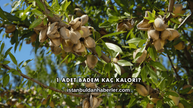 1 Adet Badem Kaç Kalori?
