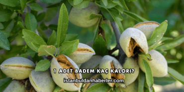 1 Adet Badem Kaç Kalori?