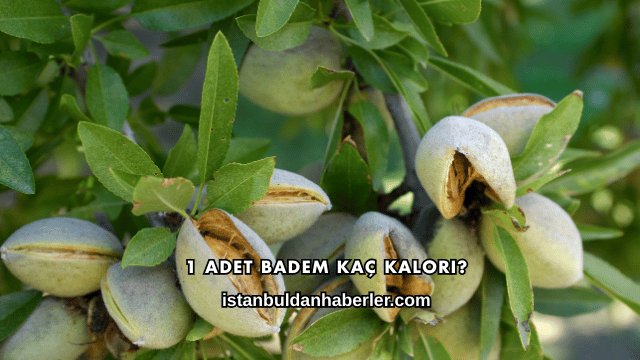 1 Adet Badem Kaç Kalori?