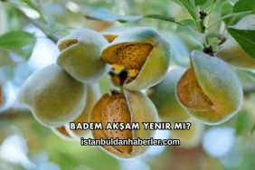 Badem Akşam Yenir mi?