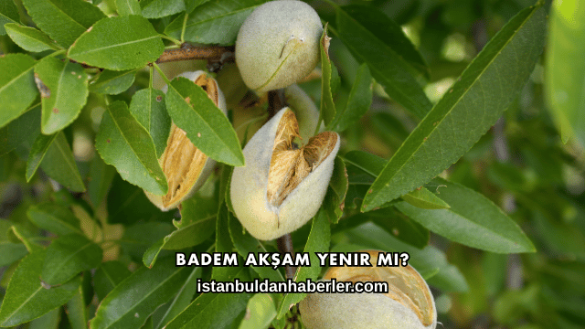Badem Akşam Yenir mi?