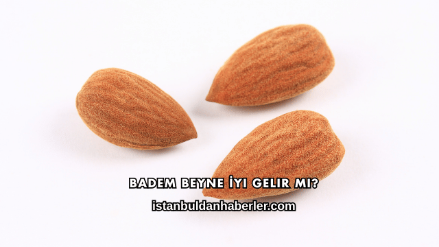 Badem Beyne İyi Gelir mi?