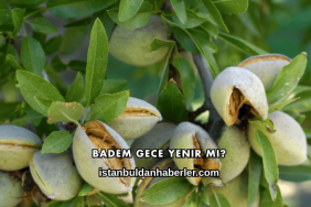 Badem Gece Yenir mi?
