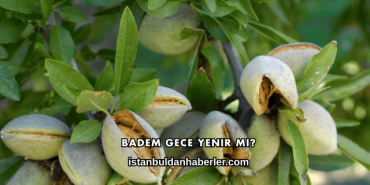 Badem Gece Yenir mi?
