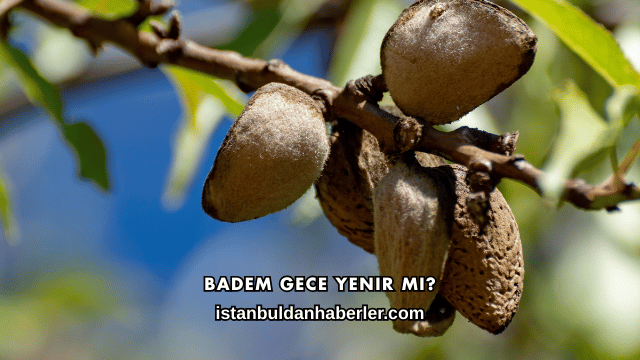 Badem Gece Yenir mi?