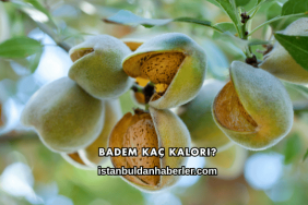 Badem Kaç Kalori?