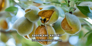 Badem Kaç Kalori?