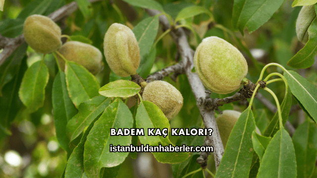 Badem Kaç Kalori?