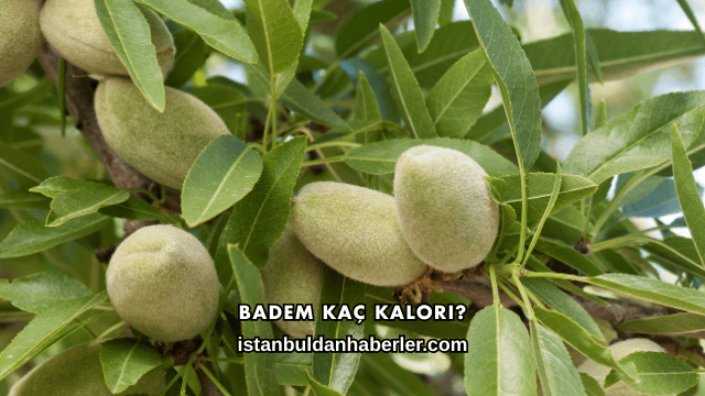 Badem Kaç Kalori?