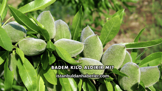 Badem Kilo Aldırır mı?