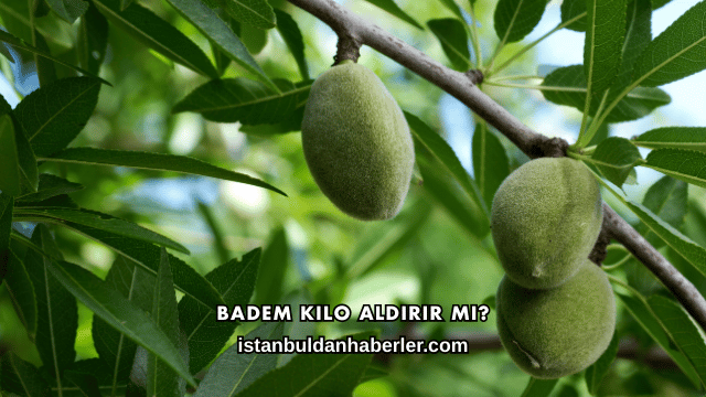 Badem Kilo Aldırır mı?
