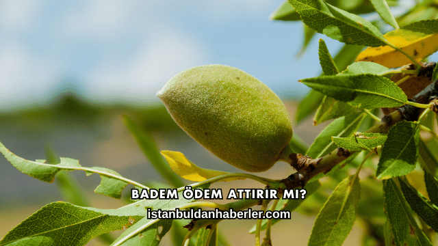 Badem Ödem Attırır mı?
