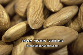 Badem Protein İçerir mi?