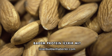 Badem Protein İçerir mi?