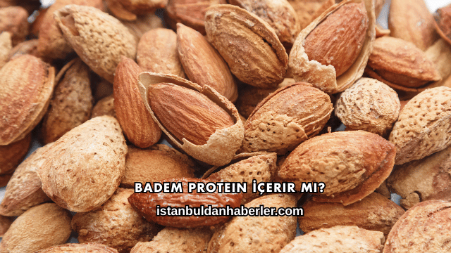Badem Protein İçerir mi?