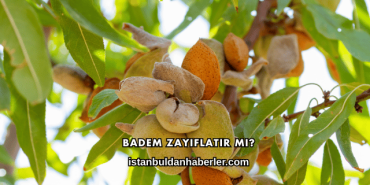 Badem Zayıflatır mı?