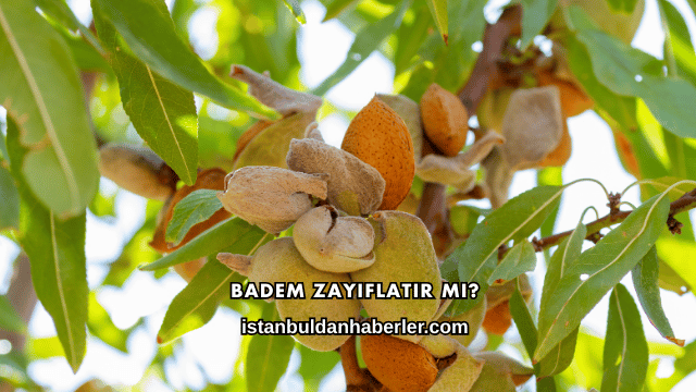 Badem Zayıflatır mı?