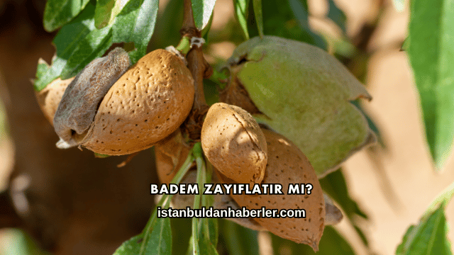 Badem Zayıflatır mı?