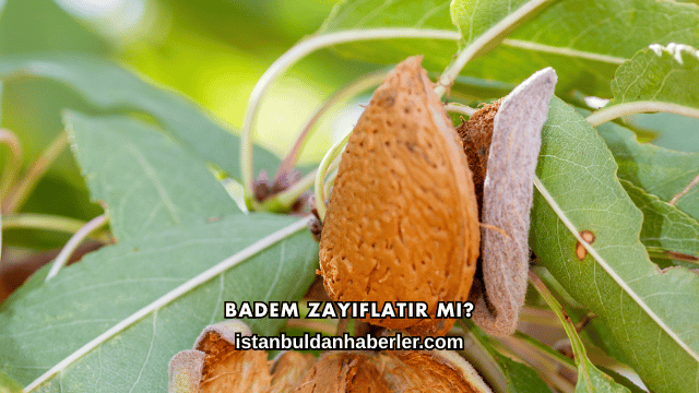 Badem Zayıflatır mı?