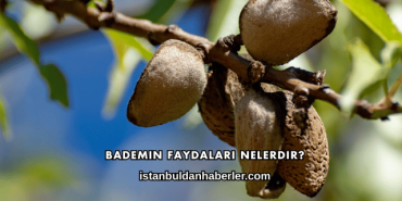 Bademin Faydaları Nelerdir?