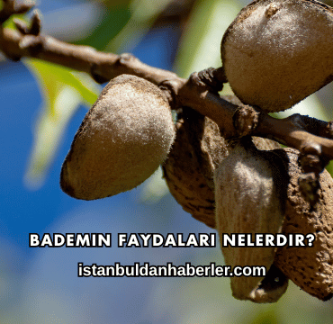 Bademin Faydaları Nelerdir?