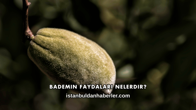 Bademin Faydaları Nelerdir?