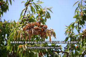 Bademli Kahvaltılık Tarifler Nelerdir?