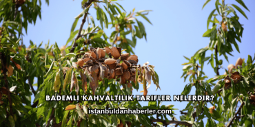 Bademli Kahvaltılık Tarifler Nelerdir?