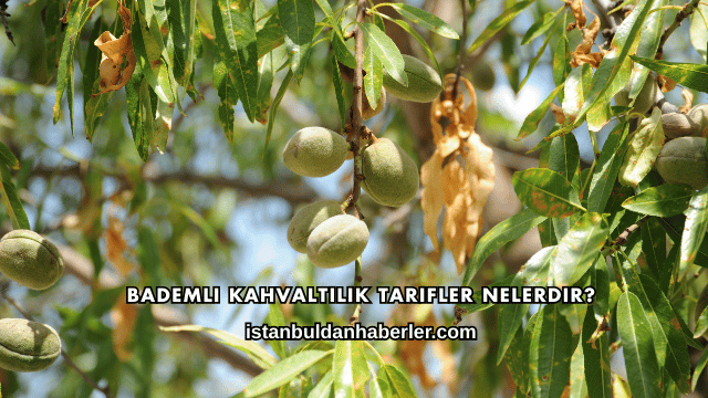 Bademli Kahvaltılık Tarifler Nelerdir?