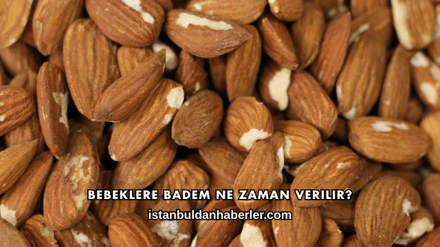 Bebeklere Badem Ne Zaman Verilir?