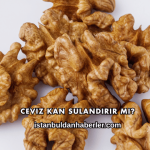 Ceviz Kan Sulandırır mı?